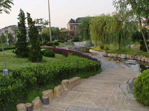 別墅 拷貝(1).jpg